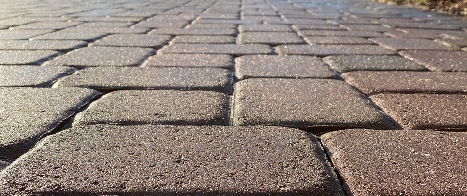 Close up on freshly cleaned and sealed pavers in front of a home in Phillipsburg, NJ.